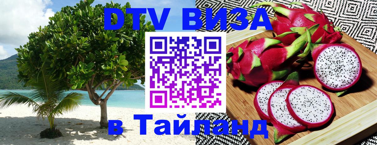 Сколько стоит DTV виза — актуальные цены, оформление даже без документов - 19.11.2025 